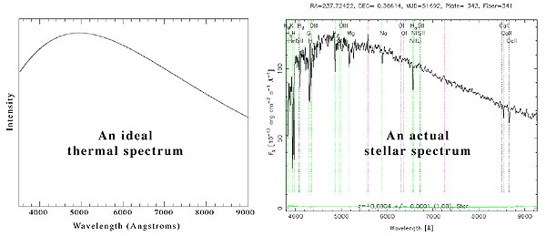 Comparing an ideal thermal spectrum to the spectrum of a real star. The ideal spectrum is a smooth curve, while the real spectrum has bumps for absorption lines and noise.
